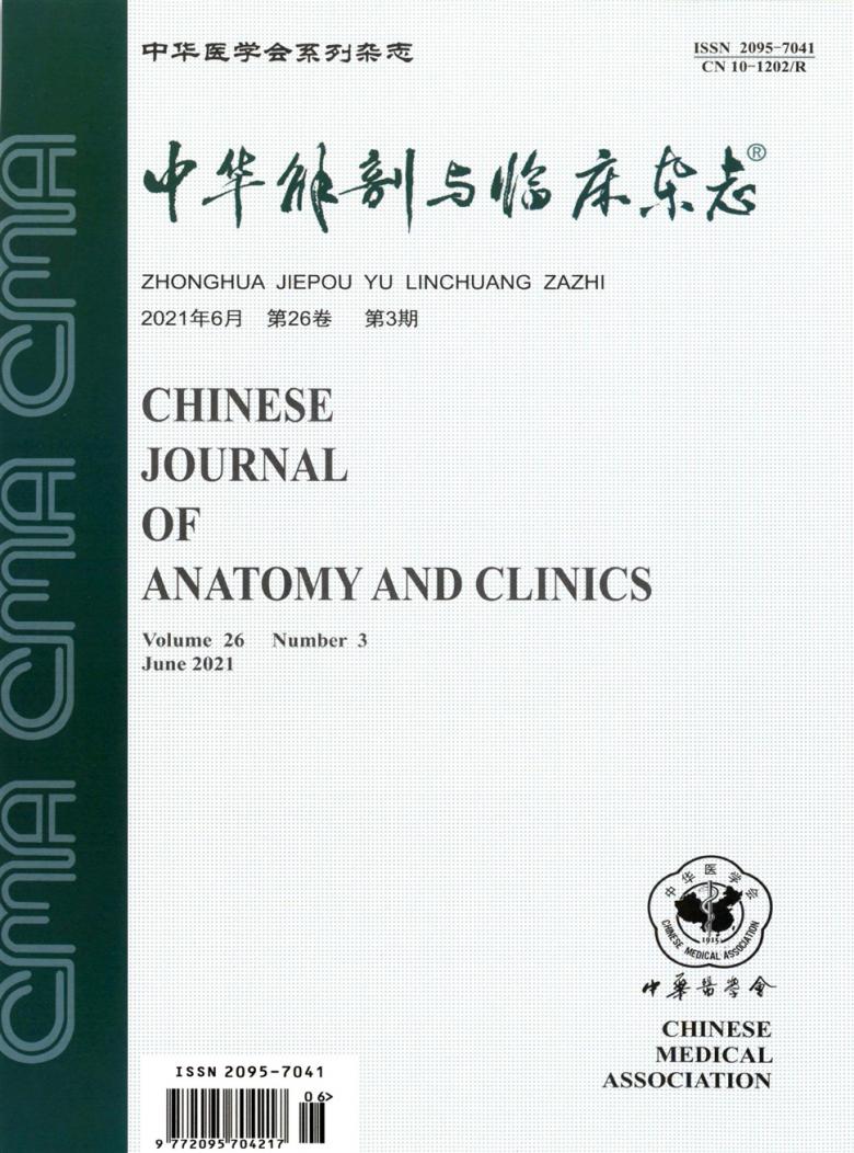 中华解剖与临床