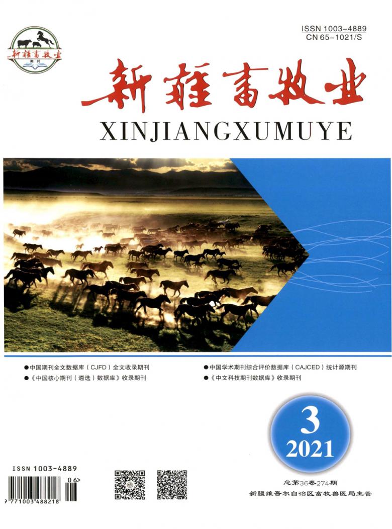 新疆畜牧业