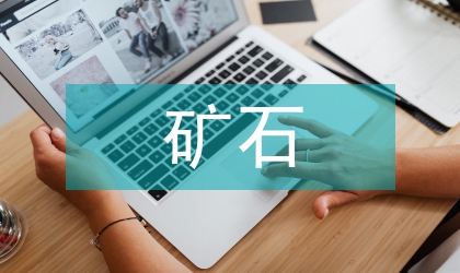 稀土矿石工艺构建研讨