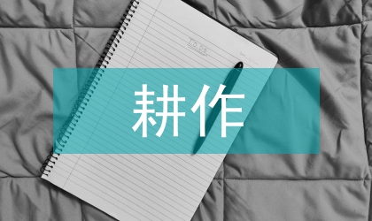 剖析地方保护性耕作模式