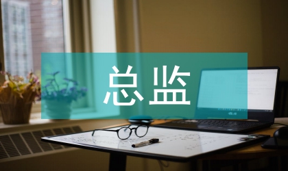总监总结