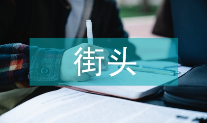 街头小报调研工作汇报