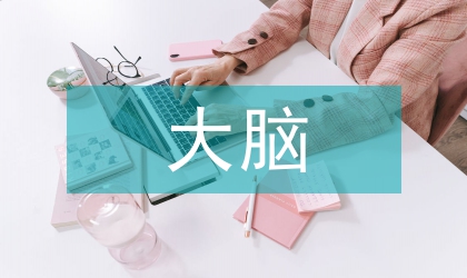 大脑横切面颞叶脑回和髓突的对应规律