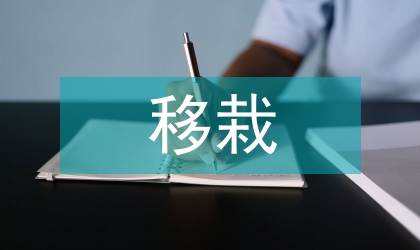 油菜育苗移栽技术