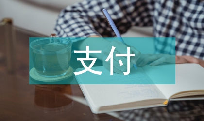 支付数据区域经济可行性研究