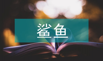 遭鲨鱼袭击和误捕的小须鲸幼仔