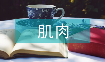 热处理在牦牛肌肉纤维的影响