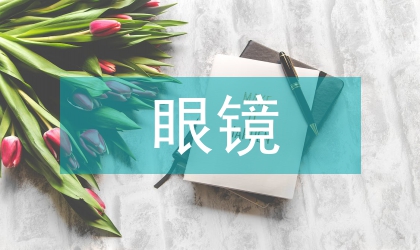 眼镜见习销售工作汇报