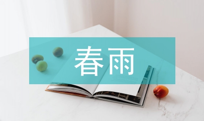 地税局春雨行动经验交流