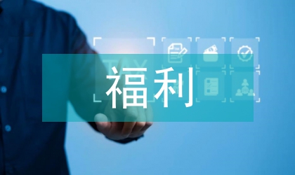 “福利国家生产系统”的衍生