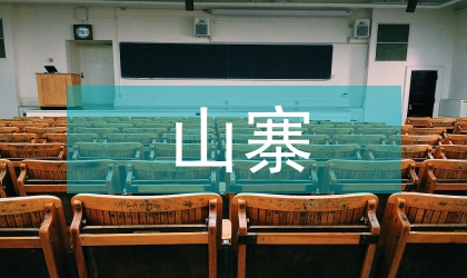 山寨现象知识产权问题