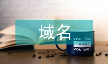 域名产权保护