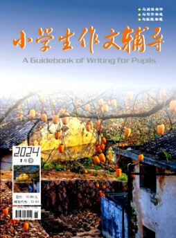 小学生作文辅导·下旬杂志