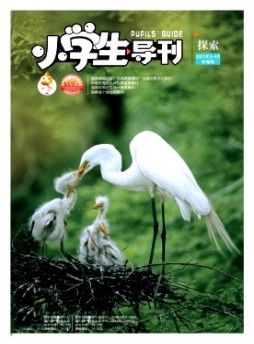 小学生导刊·中年级