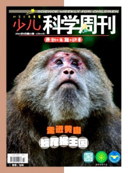 少儿科学周刊·少年版杂志