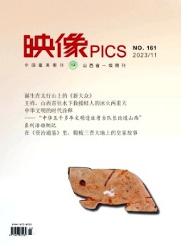 映像杂志