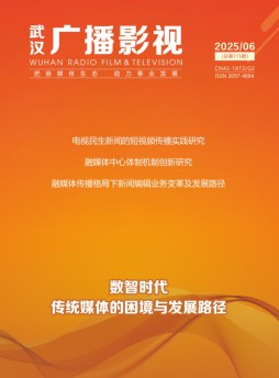 武汉广播影视杂志